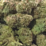 Prohibition Glue THCa Flower Hybrid