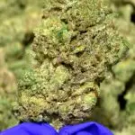 Prohibition OG THCa Flower Indica