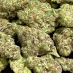 Stardawg THCa Flower Indica