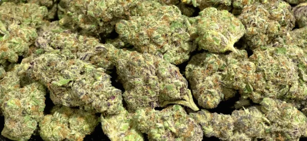 Stardawg THCa Flower Indica Stardawg THCa Flower Indica