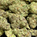 Purple Stardawg — Sativa Strain — THCa Flower — 35.70% — Exotic - Image 2