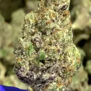 Purple Stardawg THCa Flower Sativa