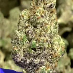 Purple Stardawg - 35.70% THCa - EIF - Image 1