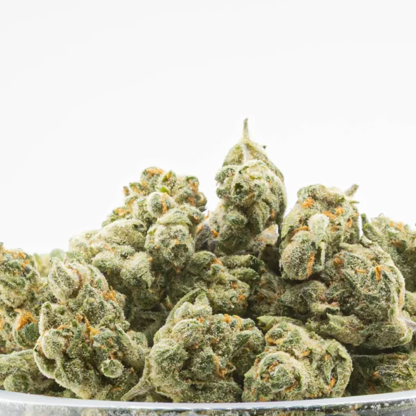 Runtz x Jealousy Smalls THCa Flower Hybrid Runtz x Jealousy Smalls THCa Flower Hybrid