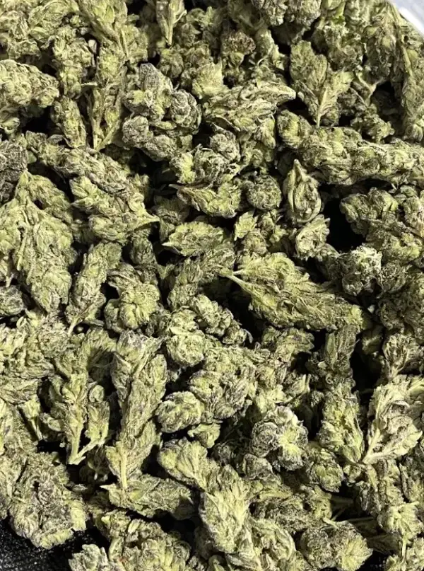 Log Cabin THCa Flower Sativa