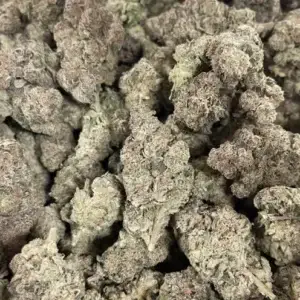 Grape Gas THCa Flower Indica