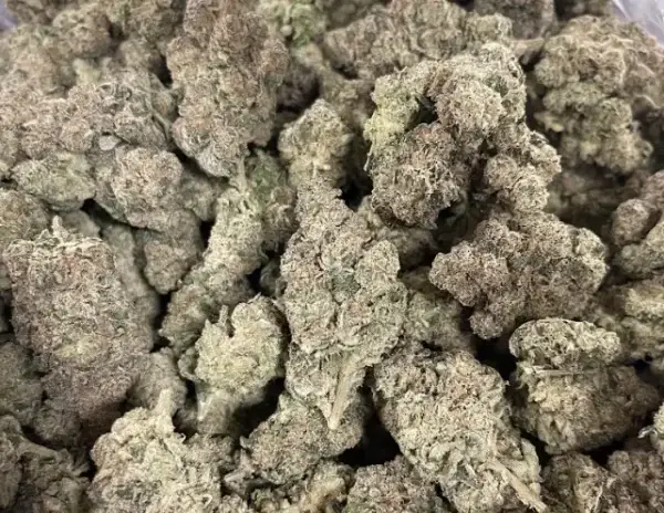 Grape Gas THCa Flower Indica