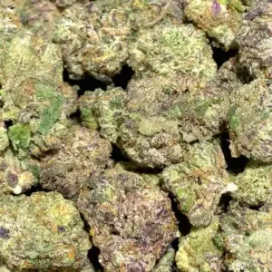 Sex Panther Smalls THCa Flower Indica