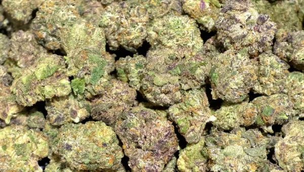 Sex Panther Smalls THCa Flower Indica Sex Panther Smalls THCa Flower Indica