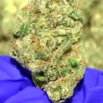 Strawberry Slushee THCa Flower Indica