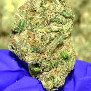 Strawberry Slushee THCa Flower Indica