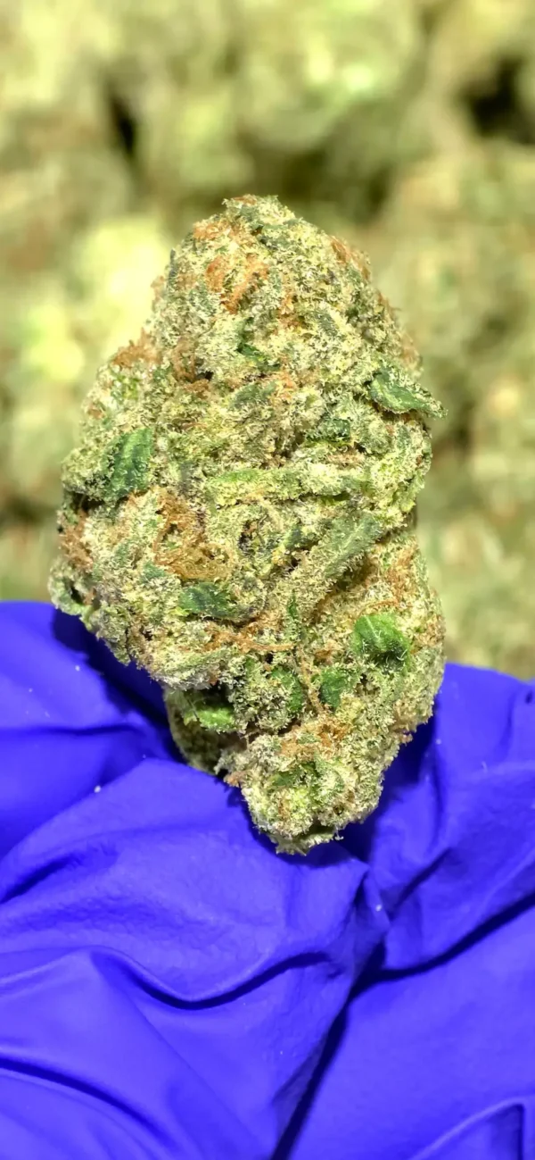 Strawberry Slushee THCa Flower Indica Strawberry Slushee THCa Flower Indica