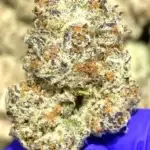 Tyson THCa Flower Indica
