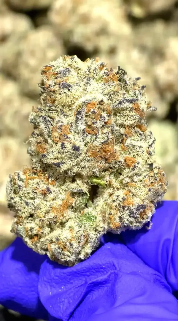 Tyson THCa Flower Indica Tyson THCa Flower Indica