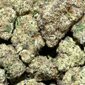 Wet Dream THCa Flower Sativa