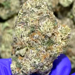 Wet Dream THCa Flower Sativa