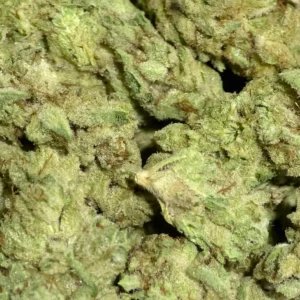 White Durban THCa Flower Sativa