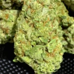 White Rhino THCa Flower Indica