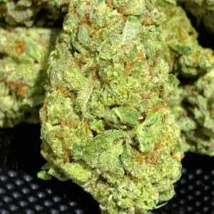 White Rhino THCa Flower Indica