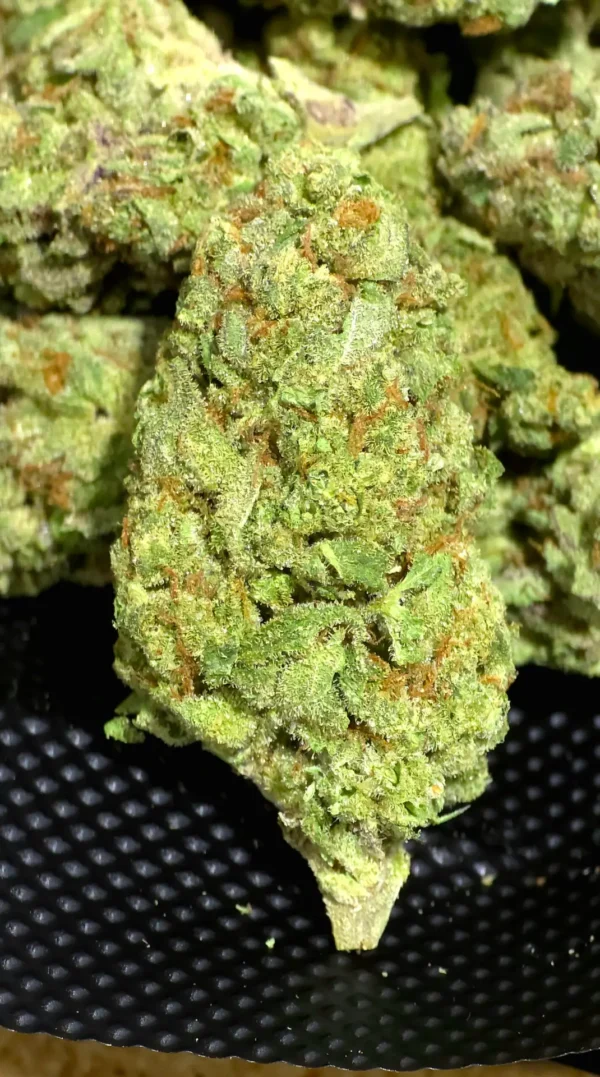 White Rhino THCa Flower Indica
