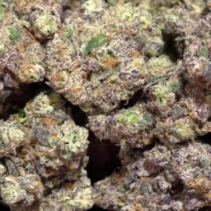 Wynn THCa Flower Indica