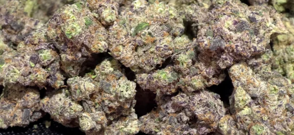 Wynn THCa Flower Indica