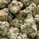 Headband THCa Flower Indica