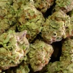 Purple Gushers THCa Flower Hybrid