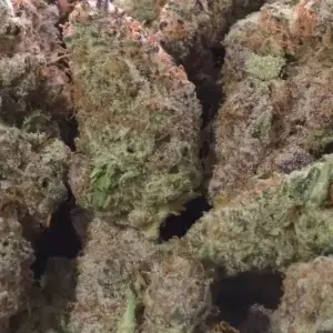 Sour D — Sativa Strain — THCa Flower — 31.53% — Private Reserve - Image 1