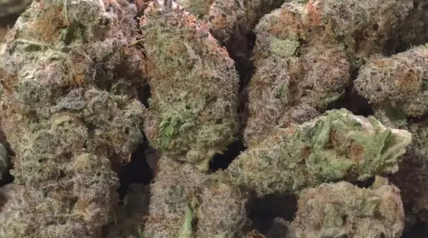 Sour D