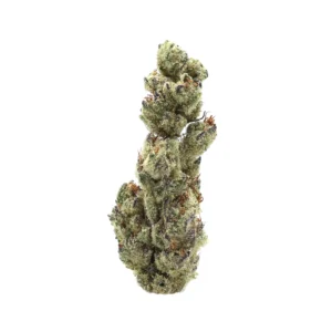 Cherry Pop Tart THCa Flower Indica