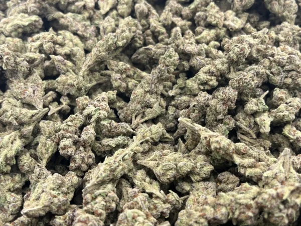 Cherry Pop Tart THCa Flower Indica