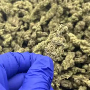 Cherry Pop Tart THCa Flower Indica