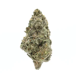 Daydream Diesel THCa Flower Sativa