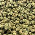 Florida Sunset - Sativa Strain - THCa Smalls - 30.05% - Exotic Indoor