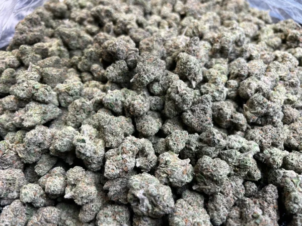 Frosted Waffles THCa Flower Hybrid