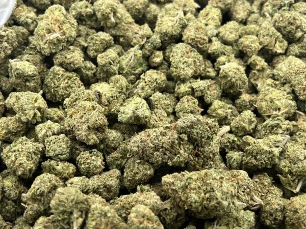 Jungle Pie THCa Flower Hybrid