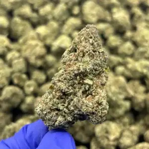 Jungle Pie THCa Flower Hybrid