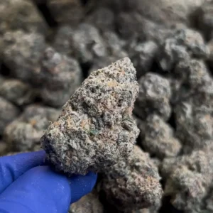 Lift Ticket THCa Flower Hybrid