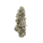 Pina Colada THCa Flower Sativa