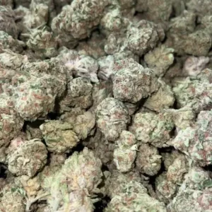 Blueberry Fuego THCa Flower Sativa