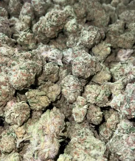 Blueberry Fuego THCa Flower Sativa