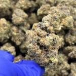 Sex Tape THCa Flower Sativa