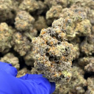 Sex Tape THCa Flower Sativa