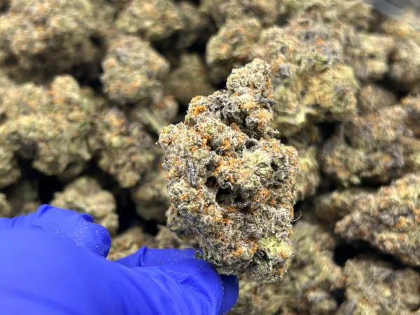 Sex Tape THCa Flower Sativa