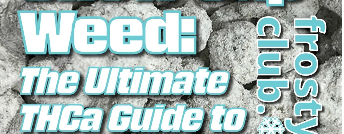 Snow Cap Weed: The Ultimate Guide to Frosty Flower from FrostyClub.com BLOGS