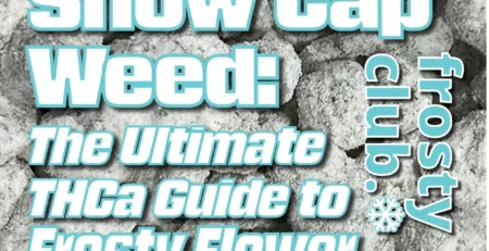 Snow Cap Weed: The Ultimate Guide to Frosty Flower from FrostyClub.com BLOGS