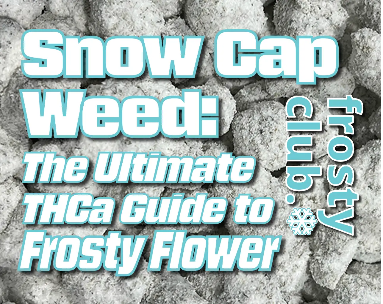 Snow Cap Weed: The Ultimate Guide to Frosty Flower from FrostyClub.com BLOGS