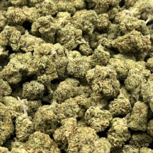 Wholesale Betty White THCa Flower — Indica — 26.64% — Light Dep @ FrostyClub.com