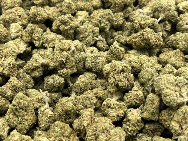 Wholesale Betty White THCa Flower — Indica — 26.64% — Light Dep @ FrostyClub.com